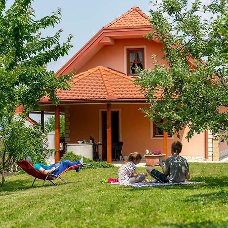Planinca -Hisa Z Razgledom Daire Smarje pri Jelsah Dış mekan fotoğraf