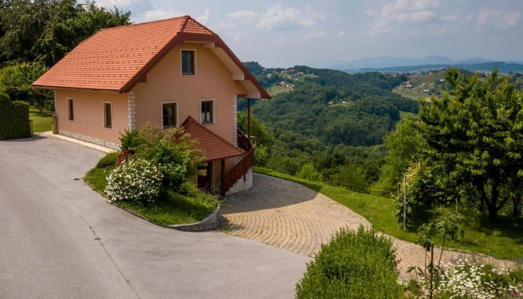 Planinca -Hisa Z Razgledom Daire Smarje pri Jelsah Dış mekan fotoğraf