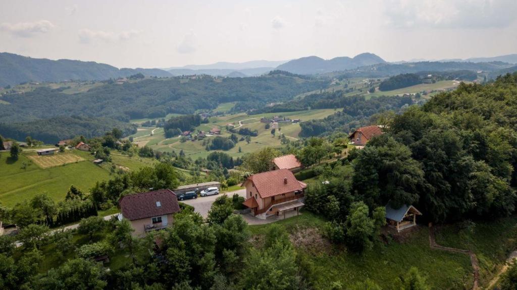 Planinca -Hisa Z Razgledom Daire Smarje pri Jelsah Dış mekan fotoğraf