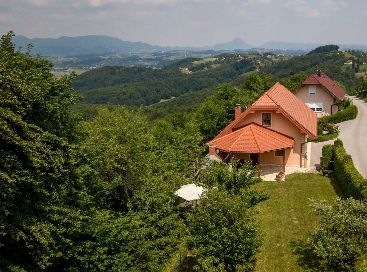 Planinca -Hisa Z Razgledom Daire Smarje pri Jelsah Dış mekan fotoğraf