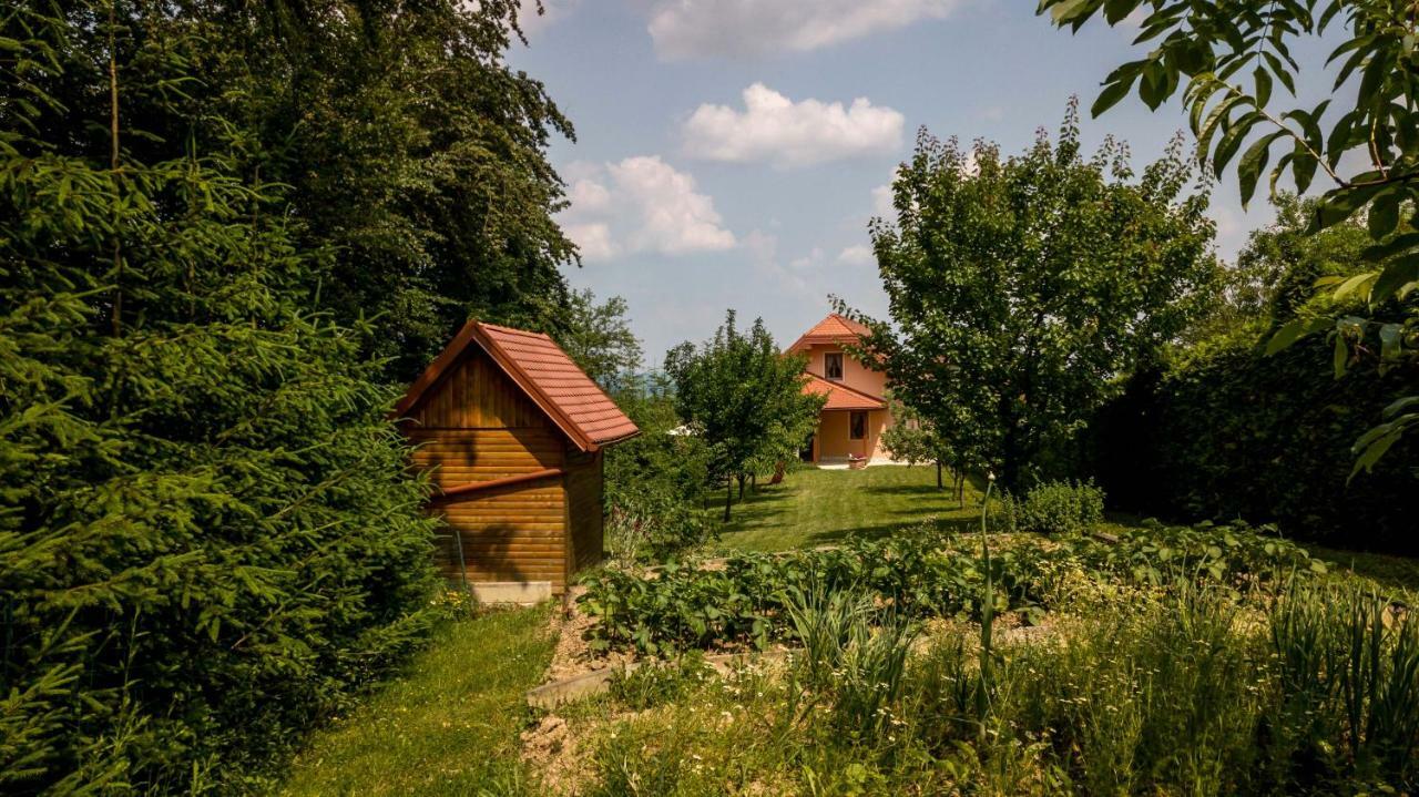 Planinca -Hisa Z Razgledom Daire Smarje pri Jelsah Dış mekan fotoğraf