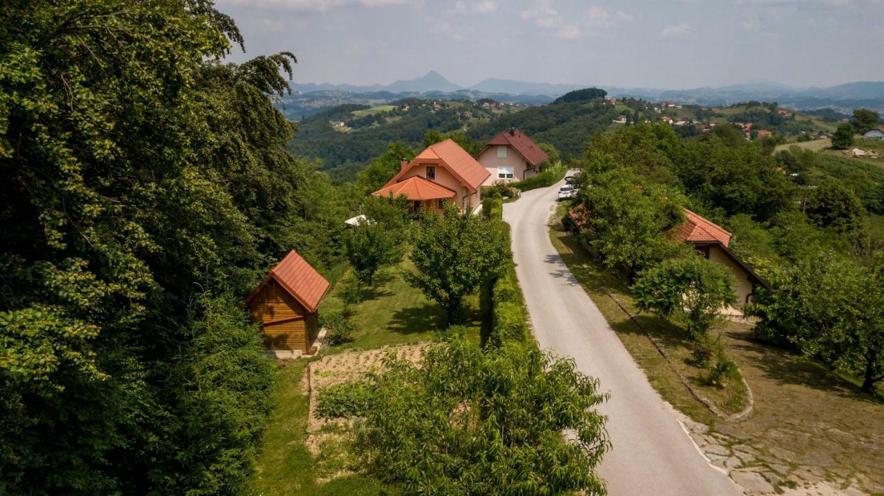 Planinca -Hisa Z Razgledom Daire Smarje pri Jelsah Dış mekan fotoğraf