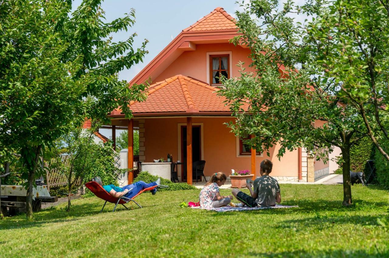 Planinca -Hisa Z Razgledom Daire Smarje pri Jelsah Dış mekan fotoğraf